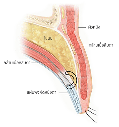 The Key to Beautiful Eyes