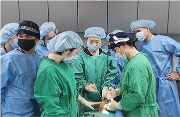 ผ่าตัดศัลยกรรมโครงหน้าแบบ Live Surgery