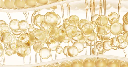 การฉีดไขมันคู่กับสเต็มเซลล์